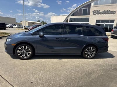 2026 Honda Odyssey Elite
