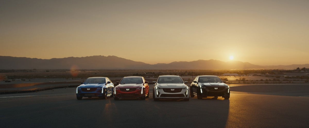 V-Series Cadillac vehicles lined up in a row